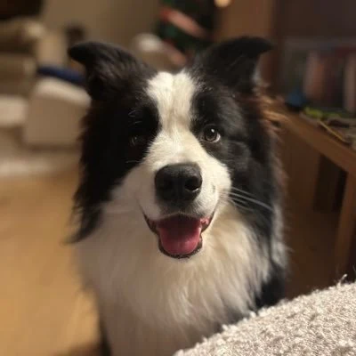 Michel profile picture