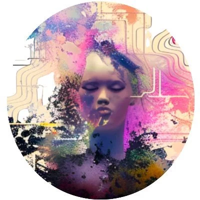 collindyer.eth profile picture