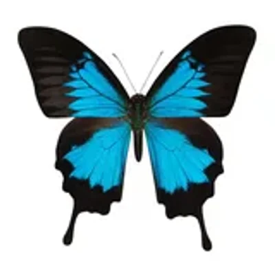 0x2623…6c7a profile picture